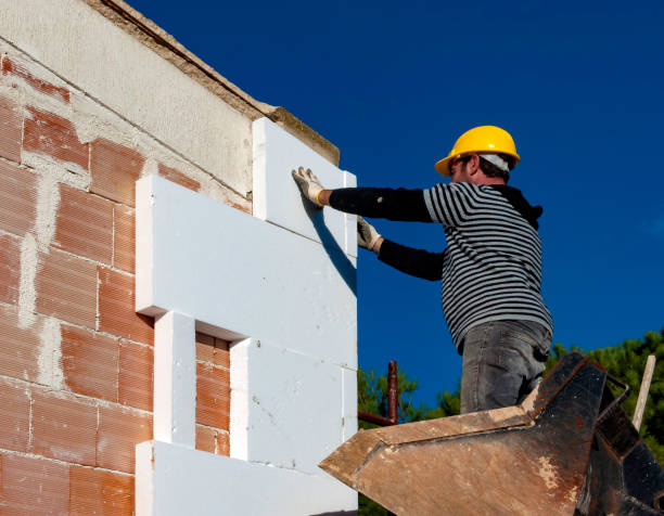 Best Geographic-Specific Insulation Services in Gunter, TX