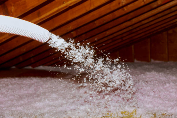 Best Specialized Insulation Services in Gunter, TX
