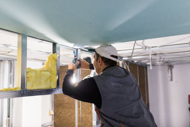 Best Residential Insulation in Gunter, TX