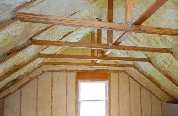Best Spray Foam Insulation in Gunter, TX