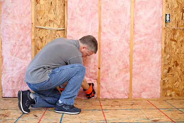 Best Eco-Friendly Insulation in Gunter, TX
